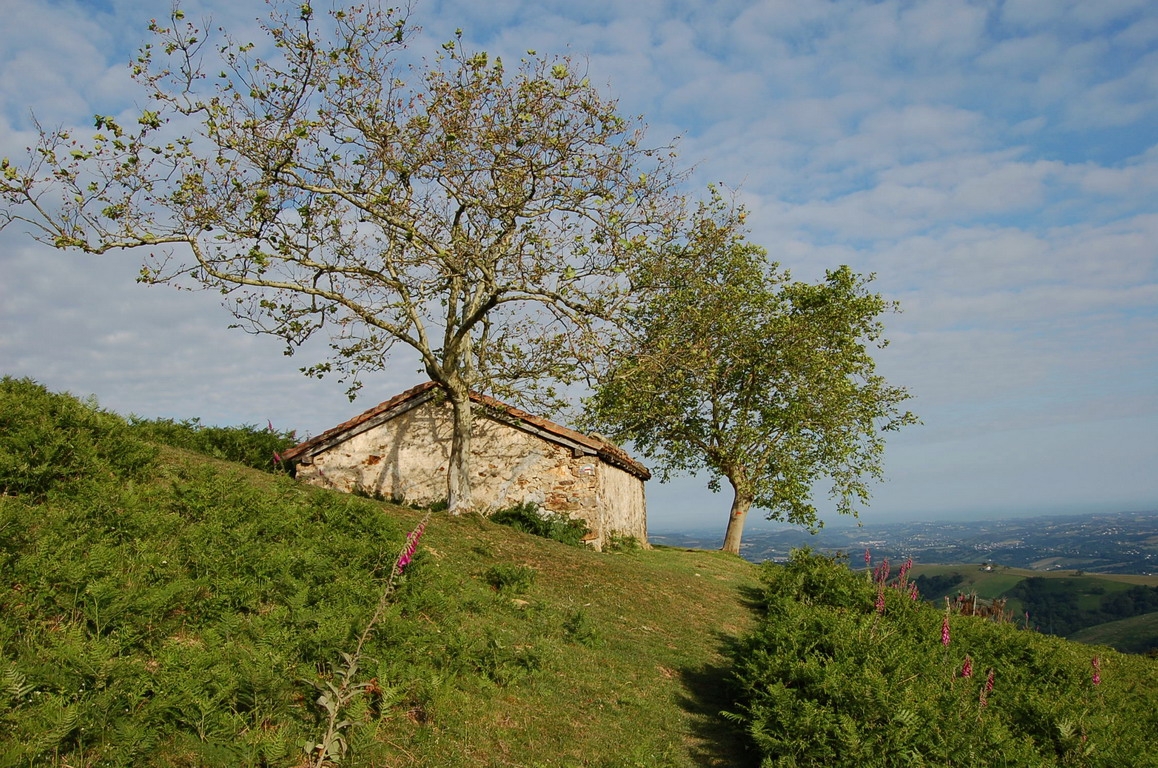 13_bergerie.jpg