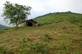 11_bergerie