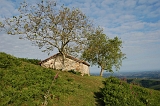 13_bergerie