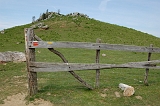 24_GR10