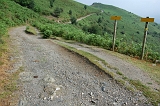 25__GR10