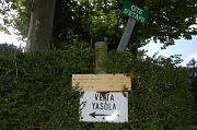 Yasola01